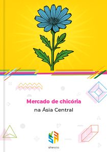Mercado de chicória na Ásia Central