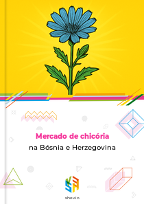 Mercado de chicória na Bósnia e Herzegovina