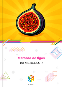 Mercado de figos no MERCOSUR