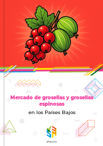 Mercado de grosellas y grosellas espinosas en los Países Bajos