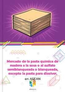 Mercado de la pasta química de madera a la sosa o al sulfato semiblanqueada o blanqueada, excepto la pasta para disolver, en ASEAN