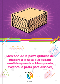 Mercado de la pasta química de madera a la sosa o al sulfato semiblanqueada o blanqueada, excepto la pasta para disolver, en Irán