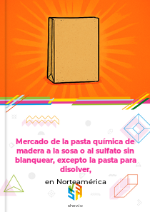 Mercado de la pasta química de madera a la sosa o al sulfato sin blanquear, excepto la pasta para disolver, en Norteamérica