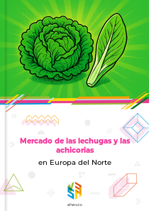 Mercado de las lechugas y las achicorias en Europa del Norte