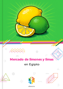 Mercado de limones y limas en Egipto