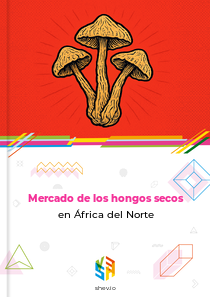 Mercado de los hongos secos en África del Norte