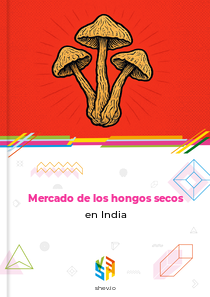 Mercado de los hongos secos en India