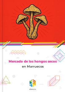 Mercado de los hongos secos en Marruecos