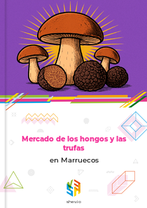 Mercado de los hongos y las trufas en Marruecos