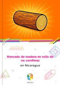 Mercado de madera en rollo de no coníferas en Nicaragua