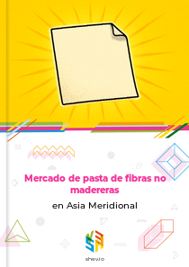 Mercado de pasta de fibras no madereras en Asia Meridional