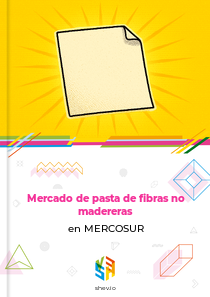 Mercado de pasta de fibras no madereras en MERCOSUR