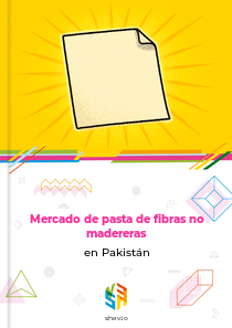 Mercado de pasta de fibras no madereras en Pakistán