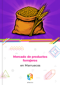 Mercado de productos forrajeros en Marruecos