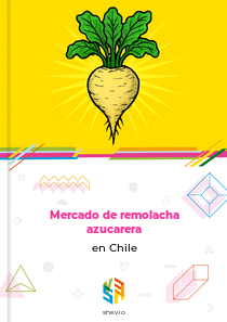 Mercado de remolacha azucarera en Chile