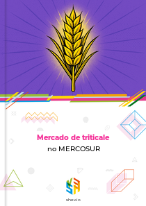 Mercado de triticale no MERCOSUR