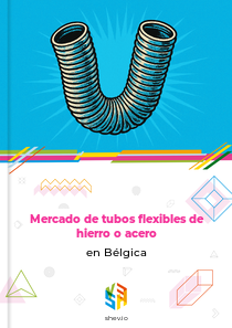 Mercado de tubos flexibles de hierro o acero en Bélgica
