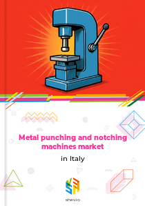 Metal punching and notching machines market in Italy