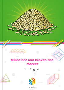 Milled rice and broken rice market in Egypt