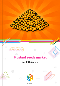 Mustard seeds market in Ethiopia