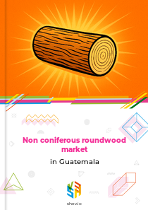 Non coniferous roundwood market in Guatemala