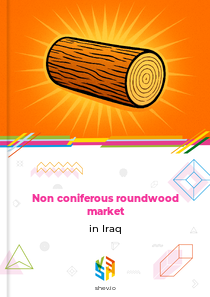 Non coniferous roundwood market in Iraq