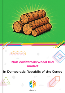 Non coniferous wood fuel market in Democratic Republic of the Congo