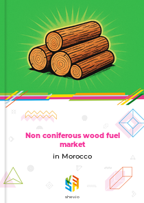 Non coniferous wood fuel market in Morocco