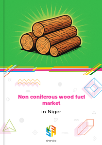 Non coniferous wood fuel market in Niger