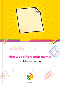 Non wood fibre pulp market in Madagascar