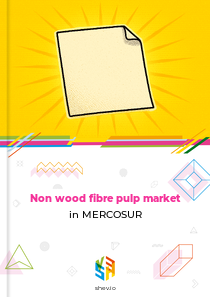 Non wood fibre pulp market in MERCOSUR