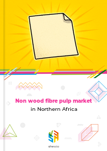 Non wood fibre pulp market in Northern Africa