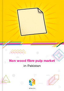 Non wood fibre pulp market in Pakistan