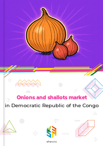 Onions and shallots market in Democratic Republic of the Congo