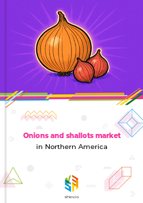 Onions and shallots market in Northern America