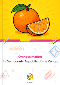 Oranges market in Democratic Republic of the Congo