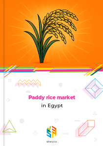 Paddy rice market in Egypt