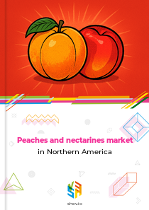 Peaches and nectarines market in Northern America