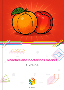 Peaches and nectarines market Ukraine