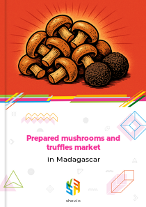 Prepared mushrooms and truffles market in Madagascar