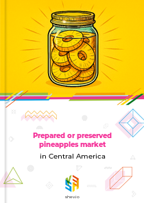 Prepared or preserved pineapples market in Central America