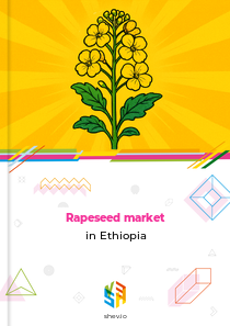 Rapeseed market in Ethiopia