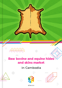 Raw bovine and equine hides and skins market in Cambodia
