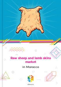 Raw sheep and lamb skins market in Morocco