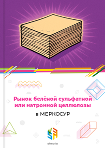 Рынок белёной сульфатной или натронной целлюлозы в МЕРКОСУР