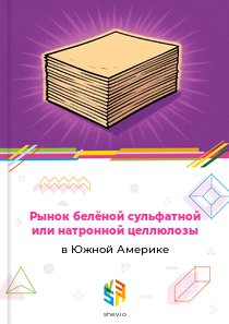 Рынок белёной сульфатной или натронной целлюлозы в Южной Америке