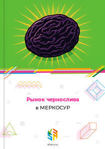 Рынок чернослива в МЕРКОСУР