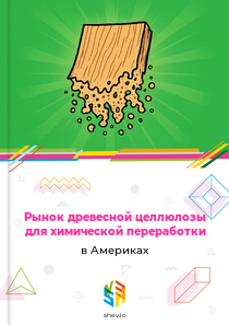 Рынок древесной целлюлозы для химической переработки в Америках