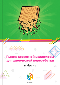 Рынок древесной целлюлозы для химической переработки в Иране