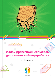 Рынок древесной целлюлозы для химической переработки в Канаде